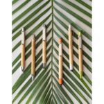 Conjunto de esferográfica e lapiseira - Imagem 2