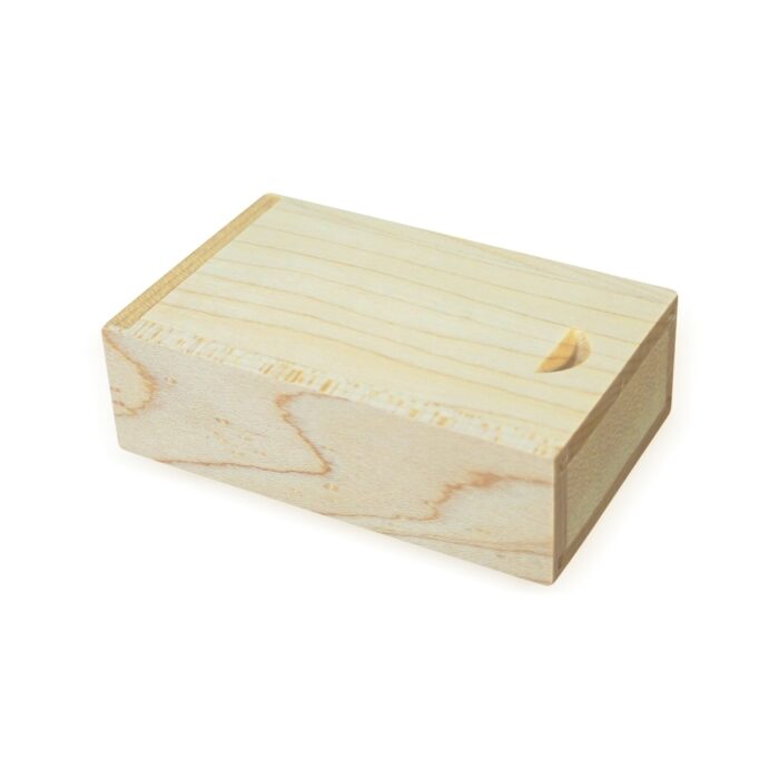 Conjunto Estojo e Pen Drive Bambu 4GB/8GB/16GB/32GB - Imagem 2