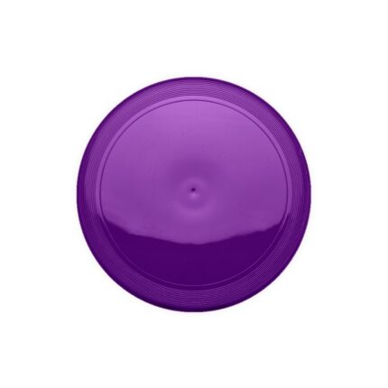 FRISBEE PLÁSTICO- ROXO