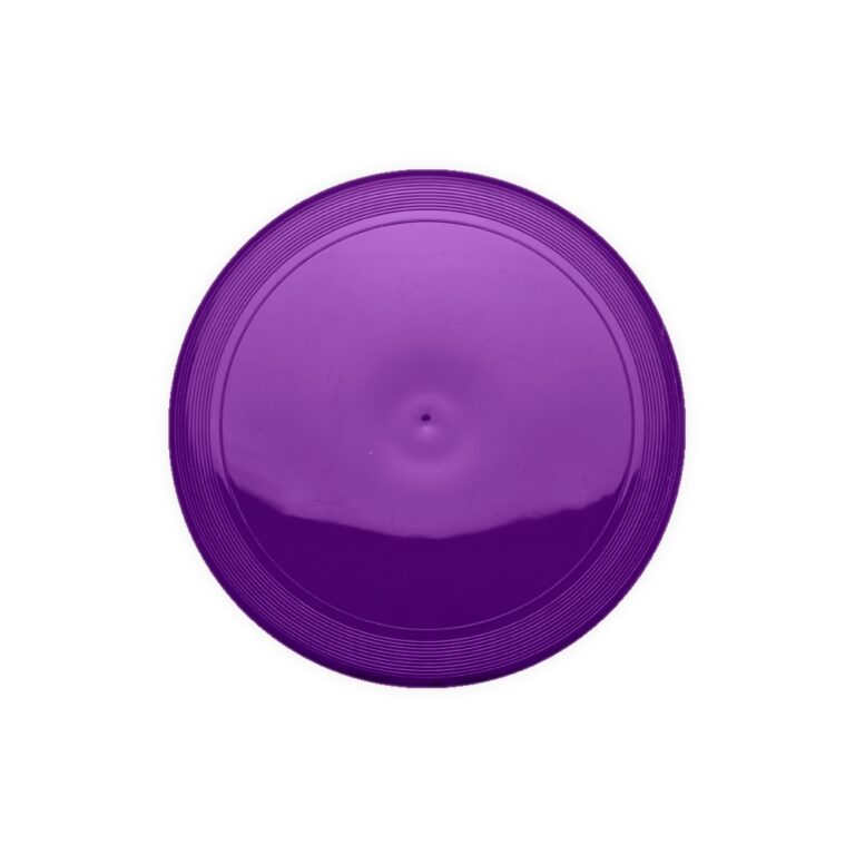 FRISBEE PLÁSTICO- ROXO