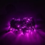 PISCA PISCA ROSA- ROSA