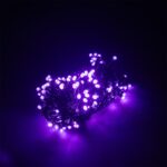 PISCA PISCA ROXO- ROXO