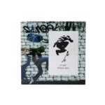 PORTA RETRATO SKATE 10X15 CM VIDRO - INOX