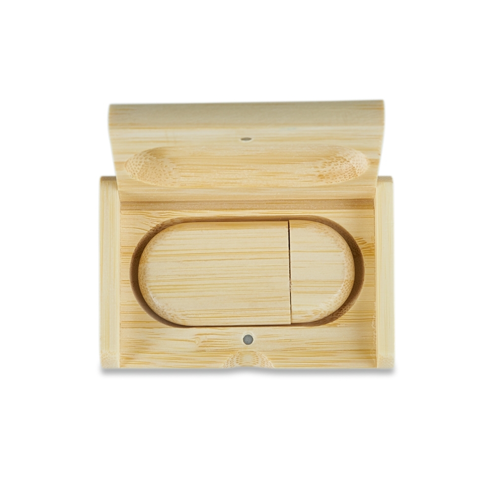 PA004266-2 PA004266-2